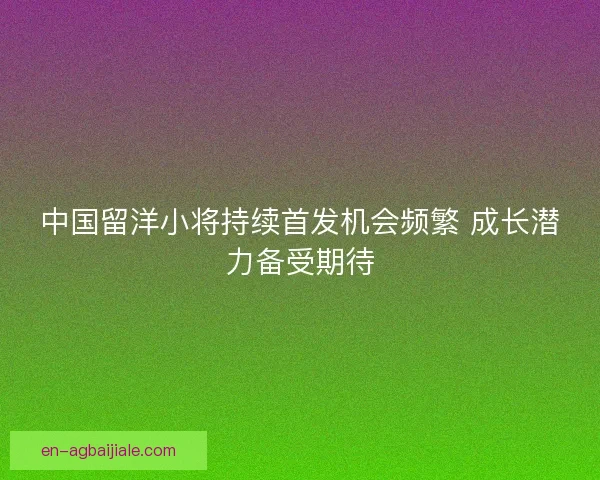 中国留洋小将持续首发机会频繁 成长潜力备受期待