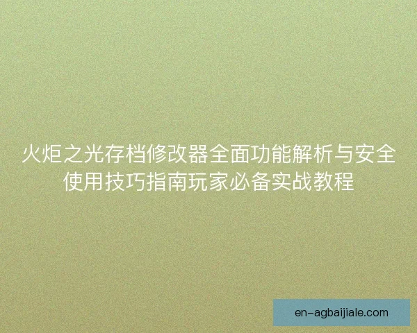 火炬之光存档修改器全面功能解析与安全使用技巧指南玩家必备实战教程